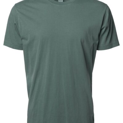 Unisex Premium Pigment-Dyed T-Shirt Thumbnail