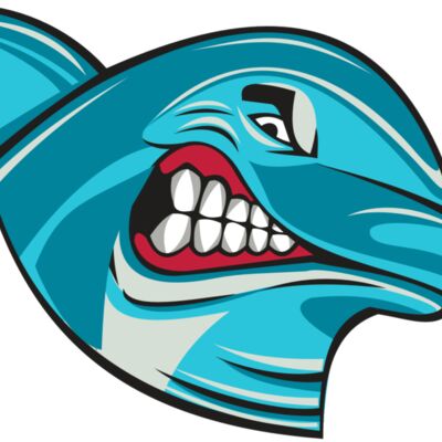 DOLPHIN HD0504 RQC Thumbnail