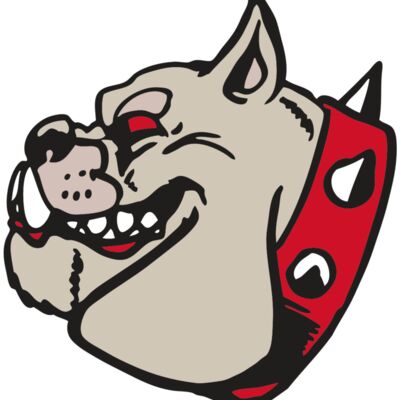 AR BDOG 47 RC Thumbnail