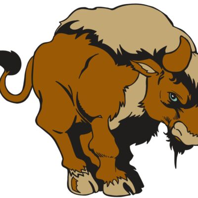 AR5 BUFFALO 13 RQC Thumbnail