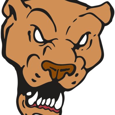 AR2 PANTHER 02 RQC Thumbnail