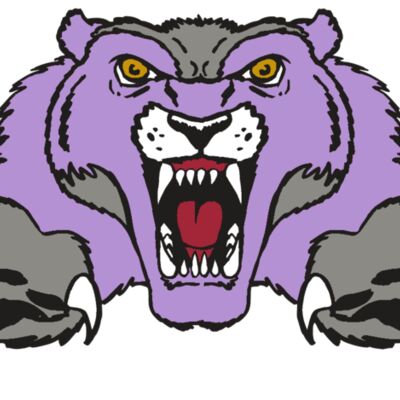 AR WOLVERINE 17 RC Thumbnail