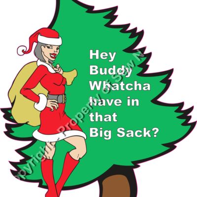 Sexy Mrs Claus Big Sack Thumbnail
