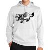 Sport Wick ® Fleece Hooded Pullover Thumbnail